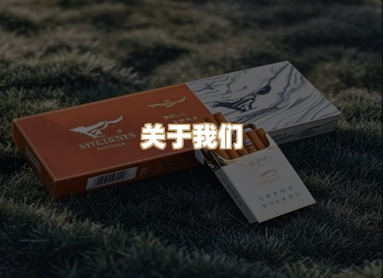关于御龙烟网